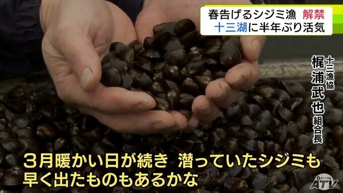 全国有数のシジミの産地「十三湖」で今シーズンのシジミ漁が解禁　半年ぶりの活気で春告げる　前年並みの1000トンの水揚げを目標に　青森県|TBS NEWS DIG
