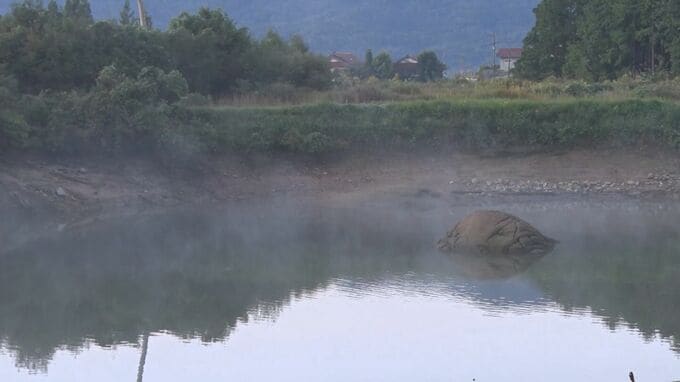 今季一番の冷え込みで「蒸気霧」発生　鳥取県日南町茶屋では氷点下1.4度を記録|TBS NEWS DIG