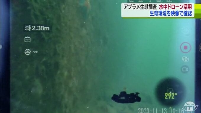 “アブラメ”のブランド化目指し生態調査　「水中ドローン」で確認する生態や漁場の状態　|　青森のニュース│ATV NEWS│青森テレビ