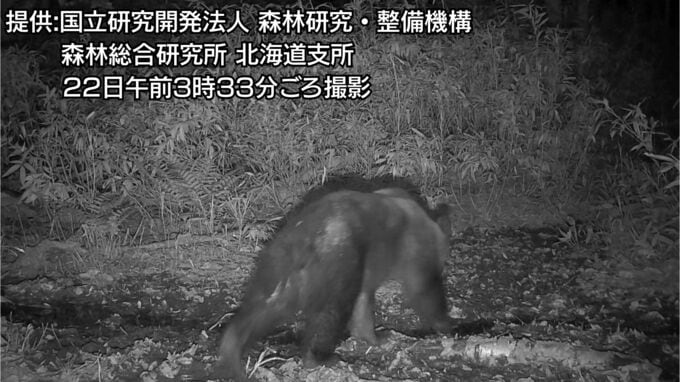 【クマ出没】体長1.2～1.3ｍほどのクマが出没　札幌市豊平区の住宅地近くの森　3日以降出没を繰り返しているクマか|TBS NEWS DIG