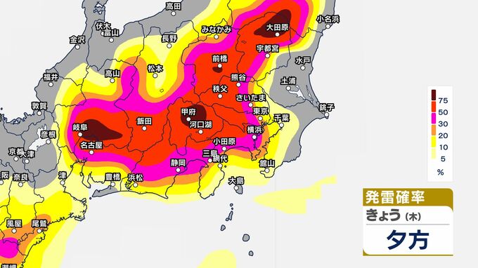 【気象情報】関東甲信　きょう14日（木）昼前から夜にかけて　大気の状態が不安定に【発雷確率と雨のシミュレーション画像掲載】急な強い雨や雷雨に注意|TBS NEWS DIG