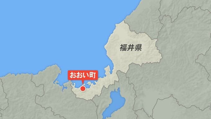 福井・大飯原発３号機自動停止 放射性物質の漏えい確認されず|TBS NEWS DIG