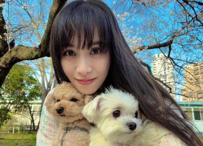 【 Perfume・あ〜ちゃん 】愛犬2頭とお花見で美麗ショット「部屋中一生断捨離してたら 春になりました」|TBS NEWS DIG