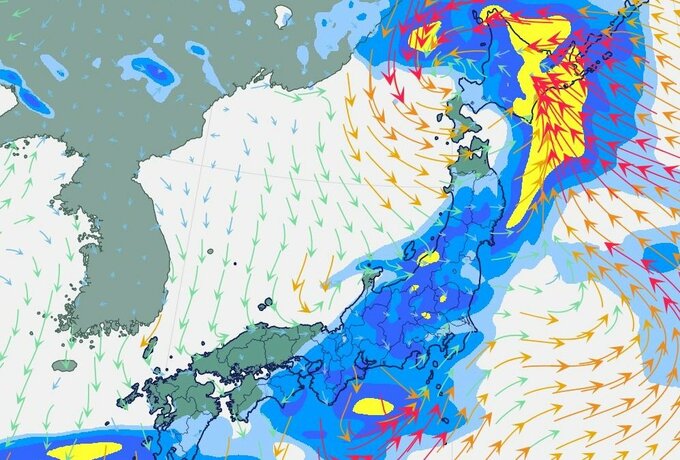 【新たな“台風のたまご”か】熱帯低気圧発生へ…気象庁の週間天気予報(6月9日～15日)はどうなる？　“警報級大雨”の可能性も　6月13日(土)にかけての雨風シミュレーション【気象庁8日発表】|TBS NEWS DIG