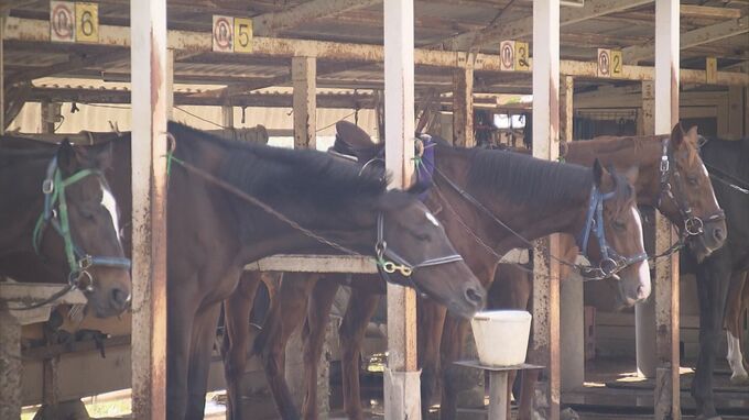 「年間7000頭生産されるということは、7000頭が引退している」競走馬が”第2の人生”迎えるため再調教…「乗馬センター」にも物価高騰が直撃、苦悩　引退馬ピンチ|TBS NEWS DIG