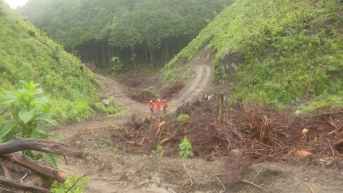 福岡県久留米の山林火災　21日午後4時に「鎮火」|TBS NEWS DIG
