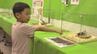 「こんなにでっかいのがいるんだよ」　夏休み突入　子どもに人気の昆虫集めた企画展にぎわう　盛岡市　|　IBC NEWS | IBC岩手放送
