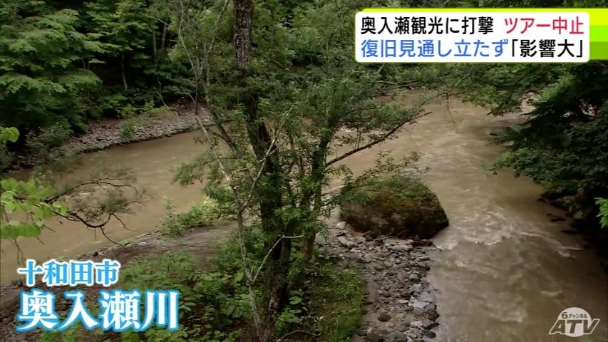 全部だめになってしまった」記録的な大雨で奥入瀬渓流の観光に大打撃