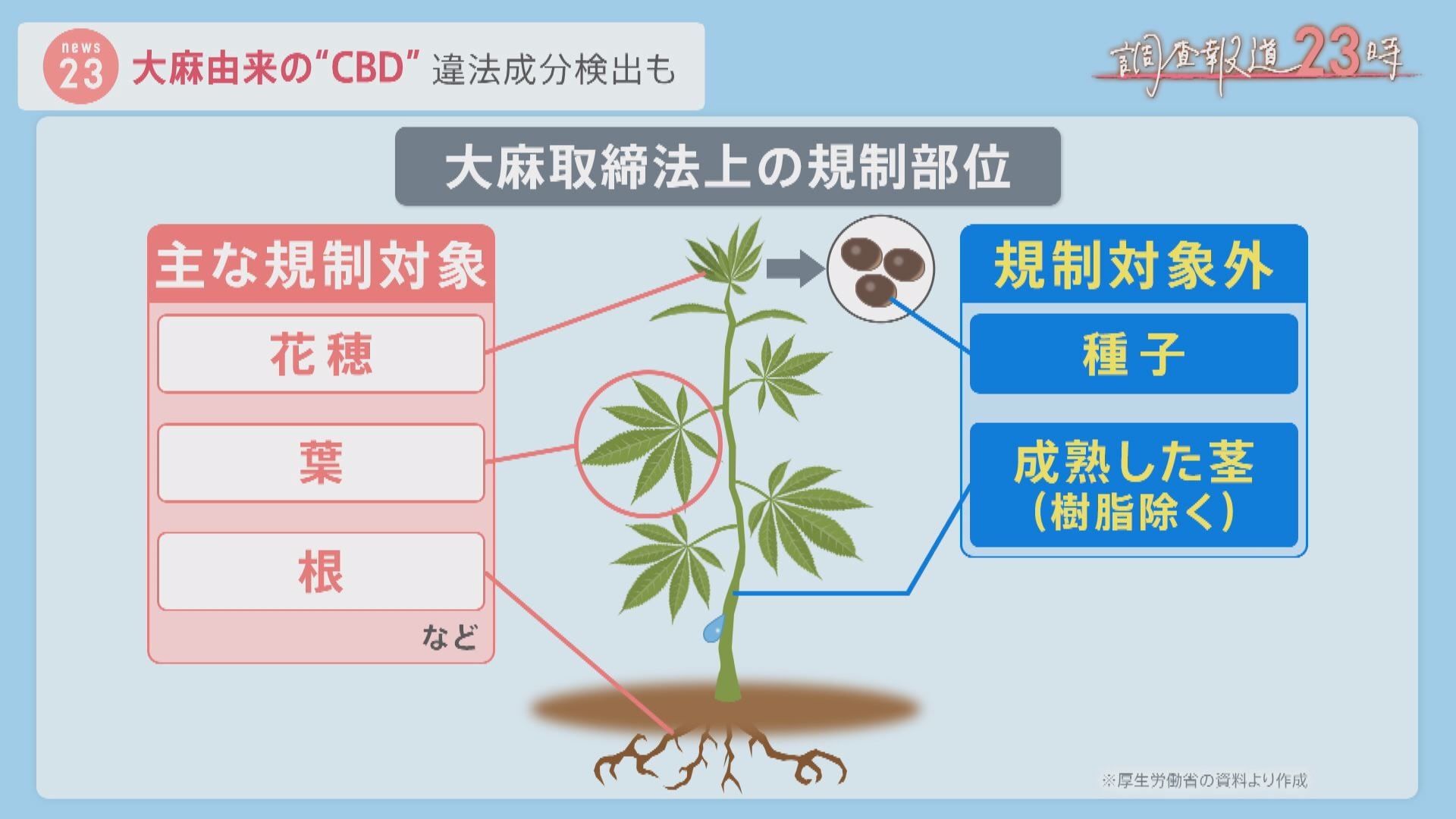 大麻規制理由 _ 大麻 安全性 – ZEAPST