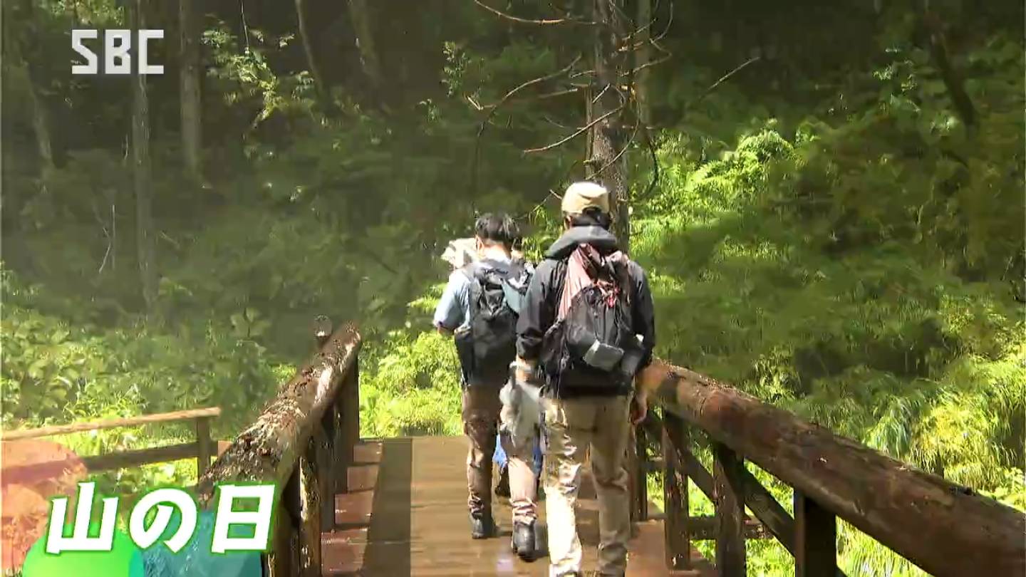 とても涼しい」山の日で乗鞍高原の「善五郎の滝」 観光客でにぎわう
