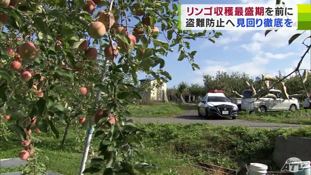 約3000個の「ふじ」が消えた… 60万円相当が何者かに盗まれる 今