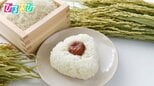米どころ・新潟は2位!?お米をたくさん食べる都道府県1位は?【ひるおび】|TBS NEWS DIG
