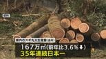 スギ丸太生産量　宮崎県が35年連続日本一|TBS NEWS DIG