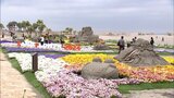 宮崎市でサンドフラワーフェスタ始まる | MRTニュース | MRT宮崎放送