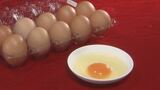 「今の設備で耐えられるのか懸念」養鶏場のニワトリの夏バテも要因 卵の価格が高止まり|TBS NEWS DIG