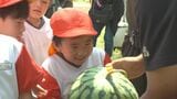 食育で「金沢すいか」を子どもたちが栽培・収穫 プロの農家との味の違いは|TBS NEWS DIG