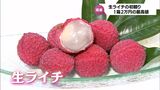 肉厚でフレッシュな香りと濃厚な甘さ 宮崎県産「生ライチ」の初競り | MRTニュース | MRT宮崎放送