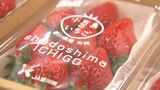 「小豆島フェア」岡山市のデパートで始まる いちごやさわらのちらしずし、ひじき麺など約250種類|TBS NEWS DIG