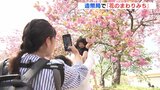 “映えスポット” も！「花のまわりみち」４年ぶりに通常開催　造幣局 広島支局　|　RCC NEWS | 広島ニュース | RCC中国放送