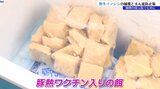 豚熱まん延防止の取り組みとは? 野生イノシシに免疫を付けるためワクチン入りの餌を地中に埋める 豚熱対策や有害駆除の現場|TBS NEWS DIG