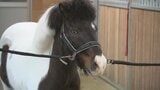 「一緒におめかしして」　県立北杜高校に15歳の転入生　名前は“ホクトポッピー”　早速生徒がニンジンで交流　山梨|TBS NEWS DIG