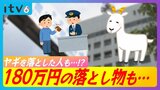 落とした現金は総額およそ“1億6千万円” ヤギやフェレットなどの動物も!? 2023年の愛媛県内の落とし物状況は… | 愛媛のニュース - Nスタえひめ|あいテレビは6チャンネル