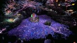 【映像】池に浮かぶアジサイの絨毯　「インスタで見て絶対来たいと思って」「気持ちがあがる」3000輪の幻想世界　|　福岡のニュース｜RKB NEWS｜RKB毎日放送