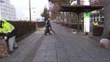 早朝の官庁街で街路樹の落ち葉清掃ボランティア 建設会社で構成する団体 岩手・盛岡市|TBS NEWS DIG