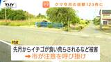 付近ではイチゴが食い荒らされる被害も...きょうもクマの出没相次ぐ　去年の目撃件数上回るペース（山形）　|　山形のニュース│TUYテレビユー山形