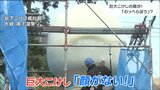 頭部落下の“巨大こけし”見に行ったら「目や口がない」! 一体どうして?|TBS NEWS DIG