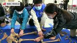 小中学生が鑑定にも挑戦 ヒトの骨からわかること 長崎・五島 | 長崎のニュース | 天気 | NBC長崎放送