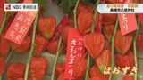 長崎 八坂神社のぎおん祭 疫病退散願う ほおづきも鮮やかに | 長崎のニュース | 天気 | NBC長崎放送