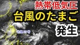 【台風情報】“台風25号”に続き  新たな「熱帯低気圧=台風のたまご」発生 台風へ発達か?気象予報士が解説 雨風シミュレーション【気象庁 4日 午前9時半更新】 |TBS NEWS DIG