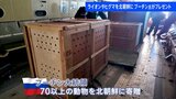 「プーチン大統領が珍しくて貴重な動物を贈った」ヒグマやライオン…プーチン大統領が寄贈した70以上の動物が北朝鮮に到着|TBS NEWS DIG