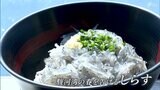 富士山の恩恵たっぷり おいしさの秘密に迫る 駿河湾のしらす漁に密着=静岡 | 静岡のニュース | SBSNEWS | 静岡放送