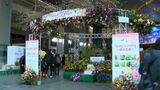 フラワーアレンジメント作りに生花店体験 「フラワーフェスタinかごしま」始まる 鹿児島市 | 鹿児島のニュース|MBC NEWS|南日本放送