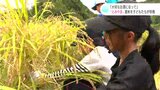「大切なお酒になって」地域ブランド酒“とみやま”の酒米を子どもたちが収穫 | 高知のニュース・天気|KUTV NEWS | KUTVテレビ高知
