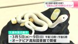 加工技術や表現力を競う “土佐さんごまつり名作コンテスト” 高知の地場産品『宝石サンゴ』の魅力を発信 | 高知のニュース・天気|KUTV NEWS | KUTVテレビ高知