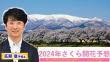 【さくら開花予想2024】東京が去年に続き一番乗り３/１９予想　北日本は平年よりかなり早い開花か…　いっぽう西日本の桜は暖冬で“お寝坊さん”状態！？【 MBSお天気通信】|TBS NEWS DIG