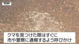 河北町の小学校付近でクマ1頭目撃 先月は町の中心部でも...(山形) | 山形のニュース│TUYテレビユー山形