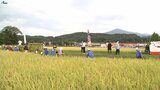 実りの秋を実感 盛岡の児童が自ら田植えした「銀河のしずく」を刈り取り|TBS NEWS DIG