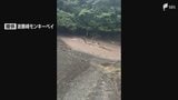 【台風情報】南伊豆町で土砂崩れが発生 下田市と南伊豆町で全域に避難指示 台風8号は温帯低気圧に変わるも...台風7号が夕方頃に静岡県内最接近へ （27日午前11時現在）　|　静岡のニュース | SBSNEWS | 静岡放送