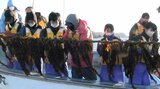 中学生がワカメの養殖に挑戦する伝統行事 学校の統合により終了へ 生徒が「早刈り」を体験 岩手・大船渡市 |TBS NEWS DIG