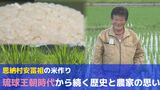 ビーチリゾートだけじゃない!沖縄・恩納村が誇る“あふそ米”の歴史と作り手の思い | 沖縄のニュース|RBC 琉球放送