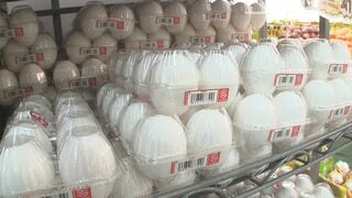 年内のたまご価格は高水準が続く見込み　生産量は去年と同程度| TBS CROSS DIG with Bloomberg
