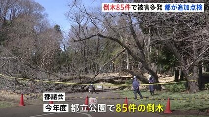 都立公園での倒木 今年度は85件 女性が下敷きになる事故も…東京都