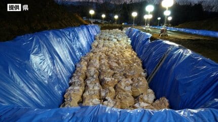 養鶏場で確認された鳥インフルエンザ 76％にあたるニワトリ42万6000羽