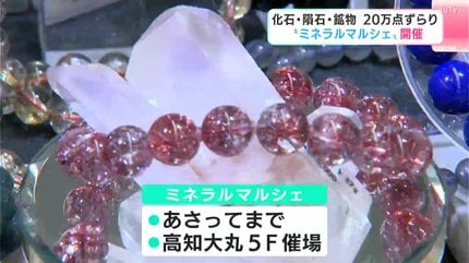 あいつが一番元気が良さそうだったので」化石に鉱物、宝石など約20万