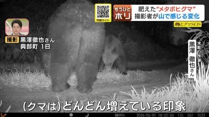 ヒグマSOS】250キロ超の“メタボヒグマ”も出現 北海道で急増するクマ