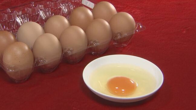 「今の設備で耐えられるのか懸念」養鶏場のニワトリの夏バテも要因　卵の価格が高止まり|TBS NEWS DIG
